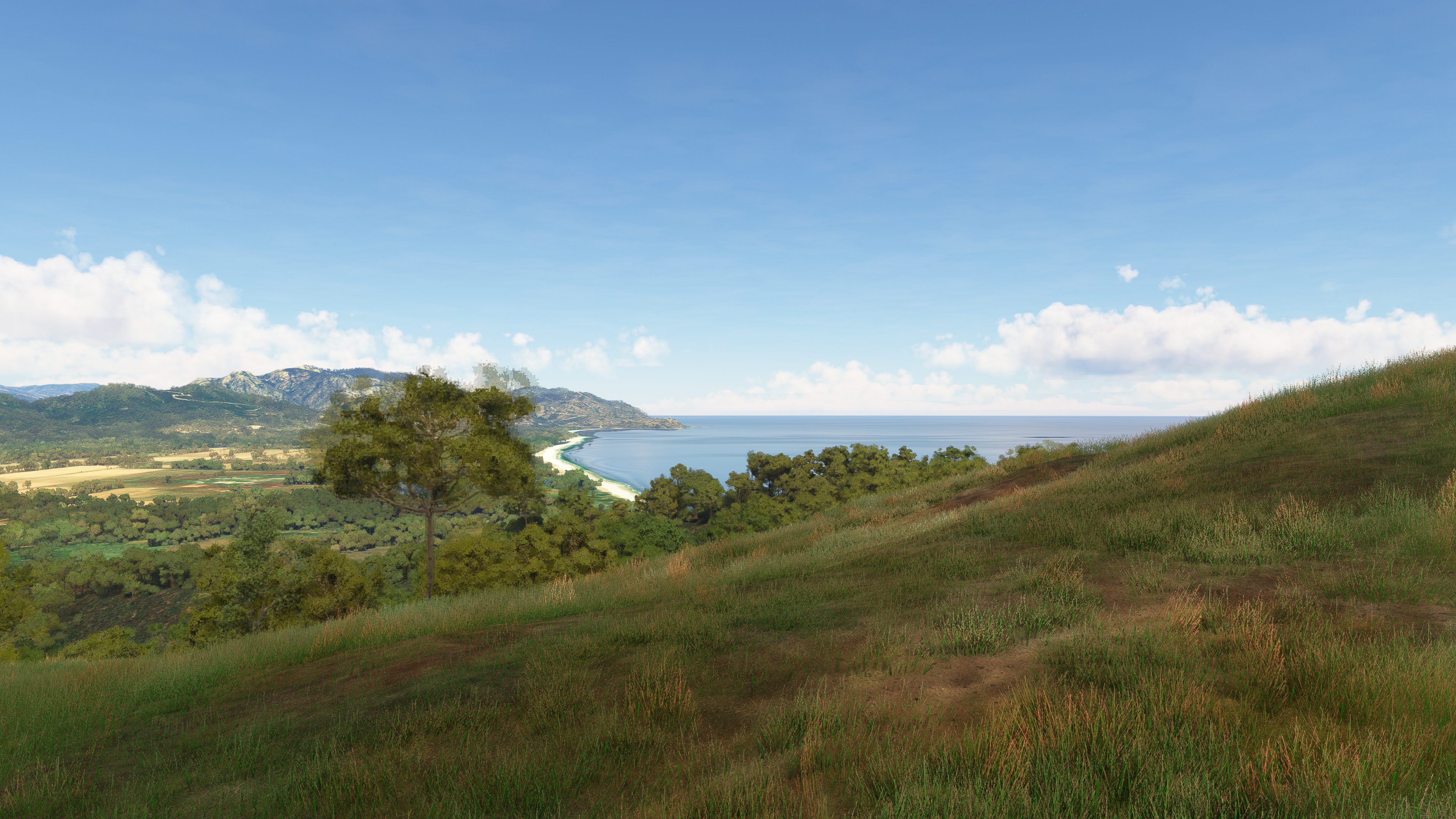 Microsoft Flight Simulator 2024 - Imagen 14